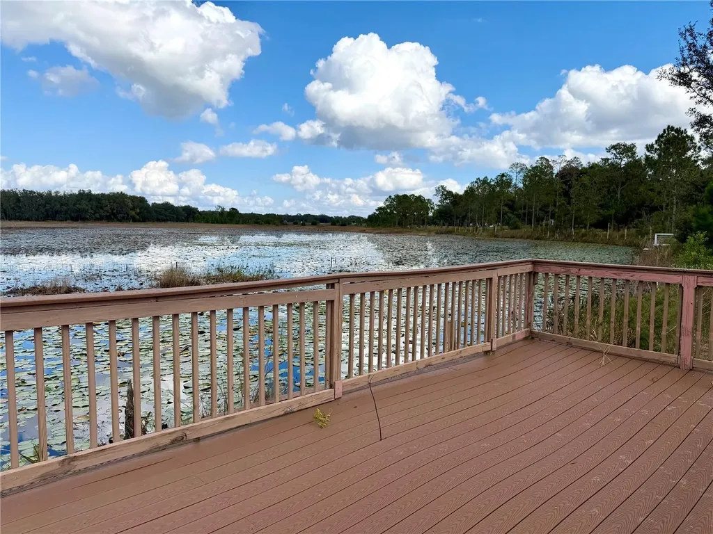 Bonsmara Drive Groveland FL 34736