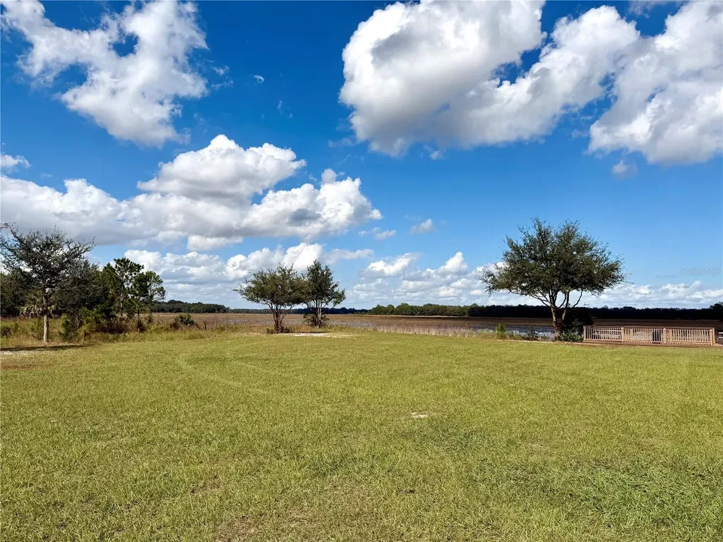 Bonsmara Drive Groveland FL 34736