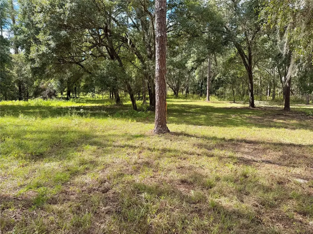 Bonsmara Drive Groveland FL 34736