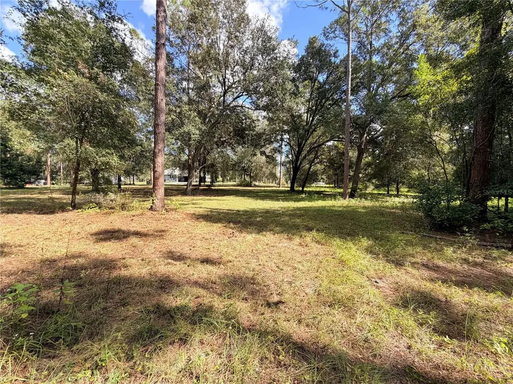 Bonsmara Drive Groveland FL 34736
