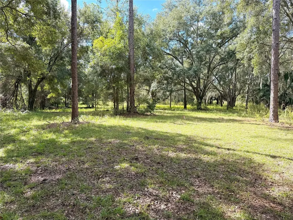 Bonsmara Drive Groveland FL 34736