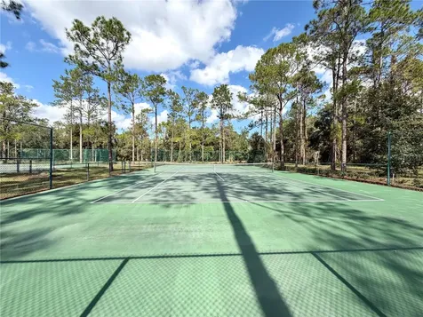 Bonsmara Drive Groveland FL 34736