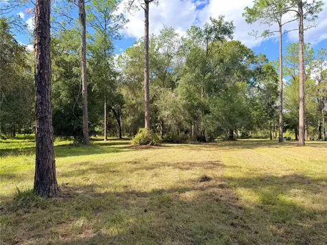 Bonsmara Drive Groveland FL 34736