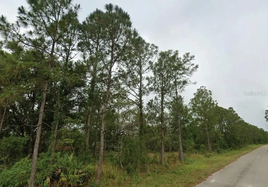 7827 & 7839 Marin + 7824 & 7836 Leonardo Street Sebring FL 33872