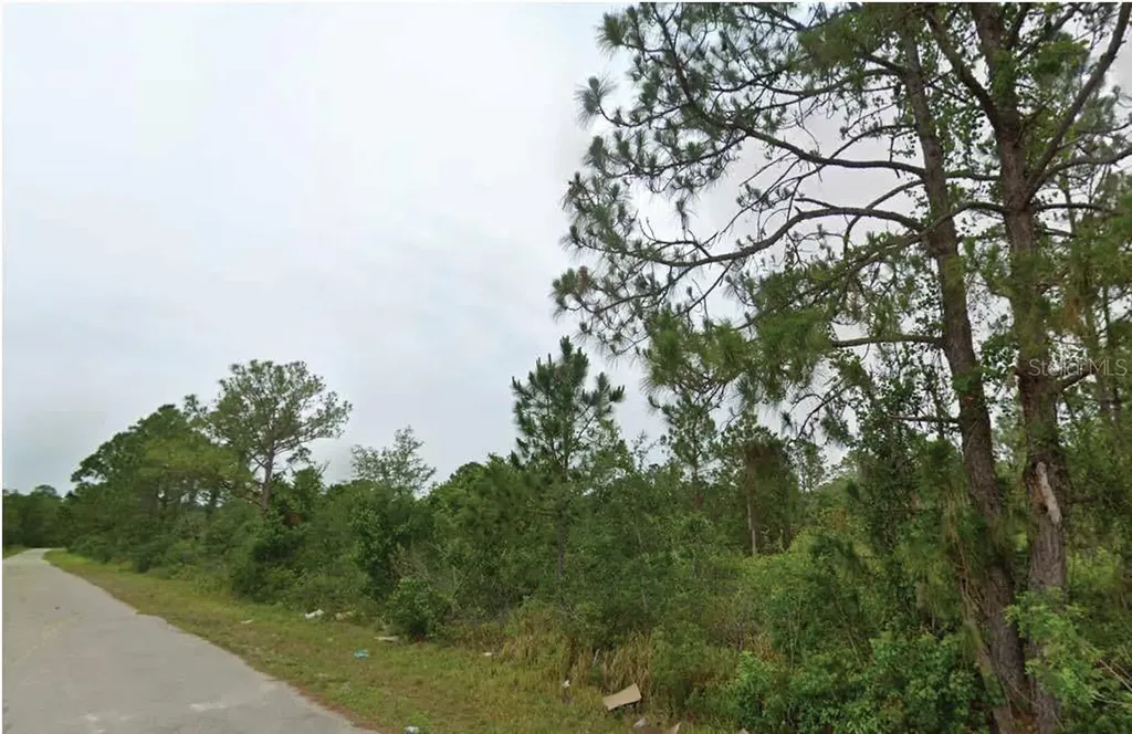 7827 & 7839 Marin + 7824 & 7836 Leonardo Street Sebring FL 33872