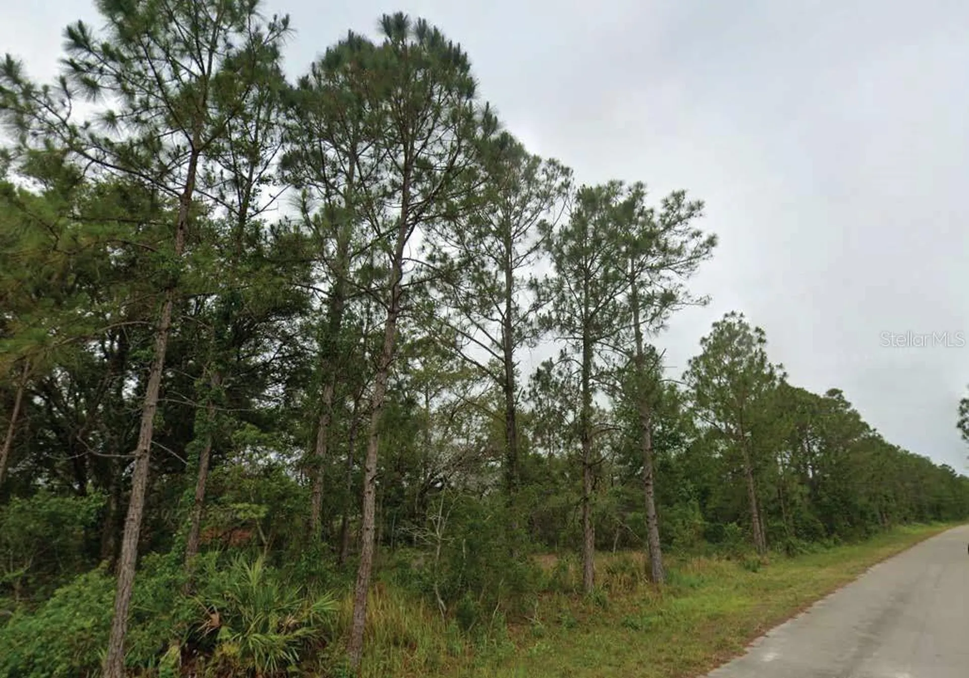 7827 & 7839 Marin + 7824 & 7836 Leonardo Street Sebring FL 33872