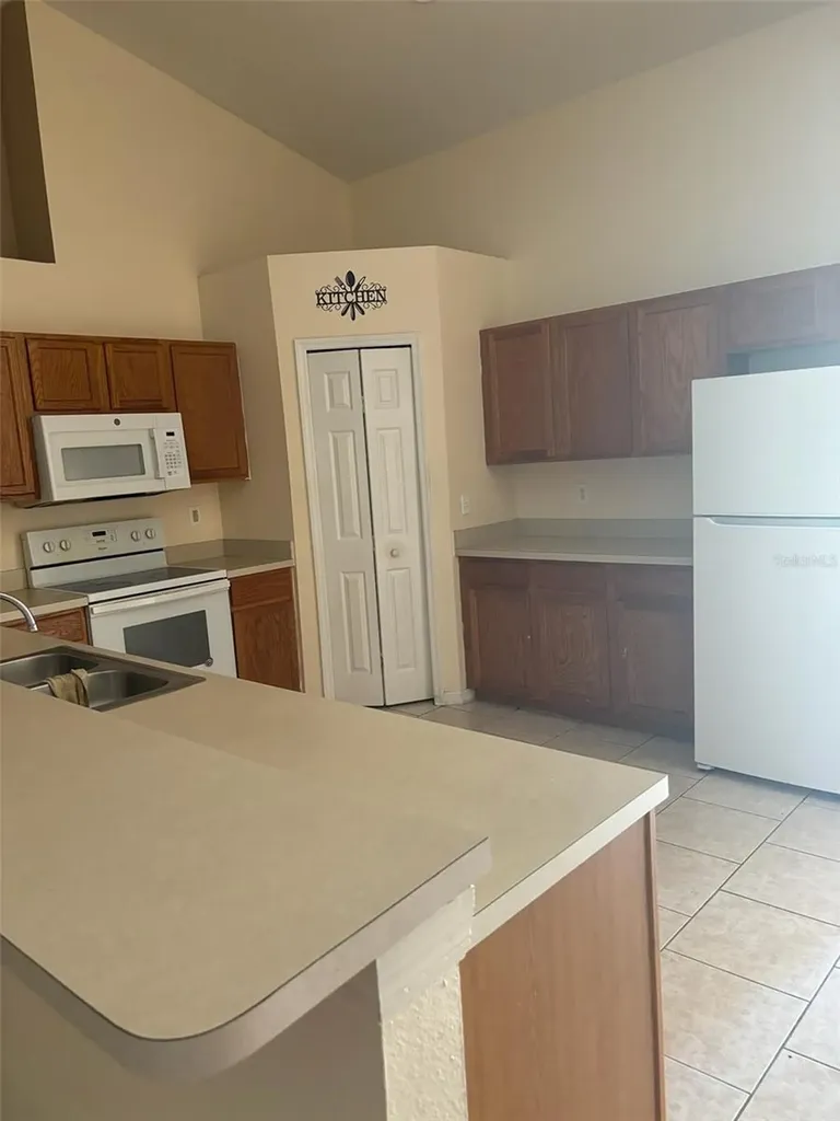 673 Cotulla Drive Kissimmee FL 34758