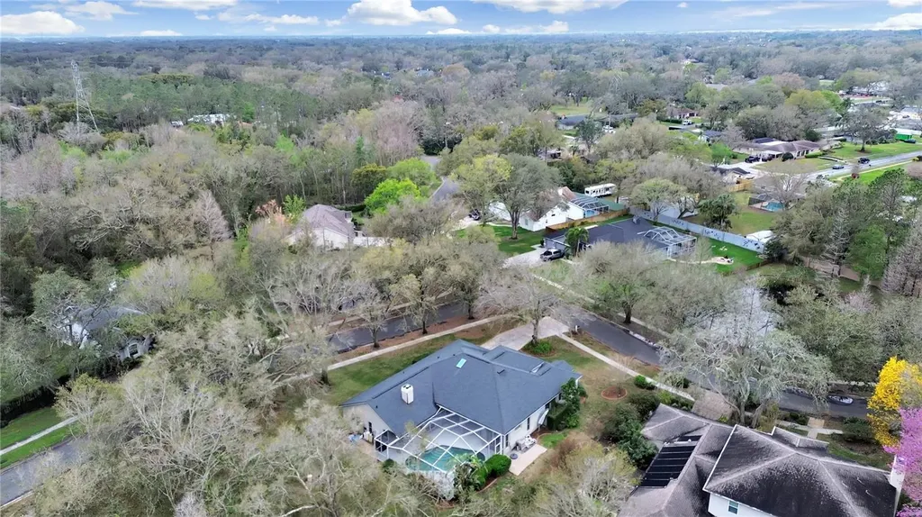 17307 Oak Ledge Drive Lutz FL 33549