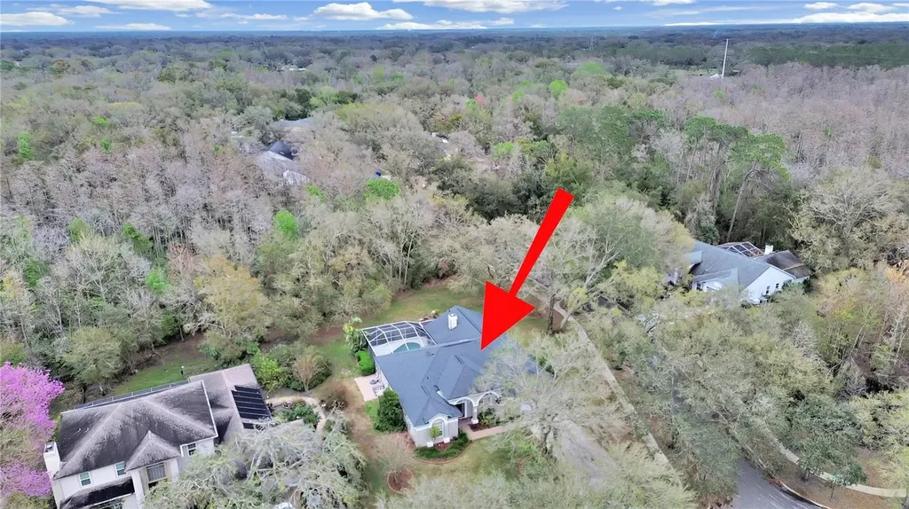 17307 Oak Ledge Drive Lutz FL 33549