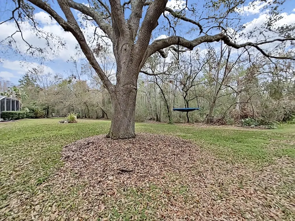 17307 Oak Ledge Drive Lutz FL 33549