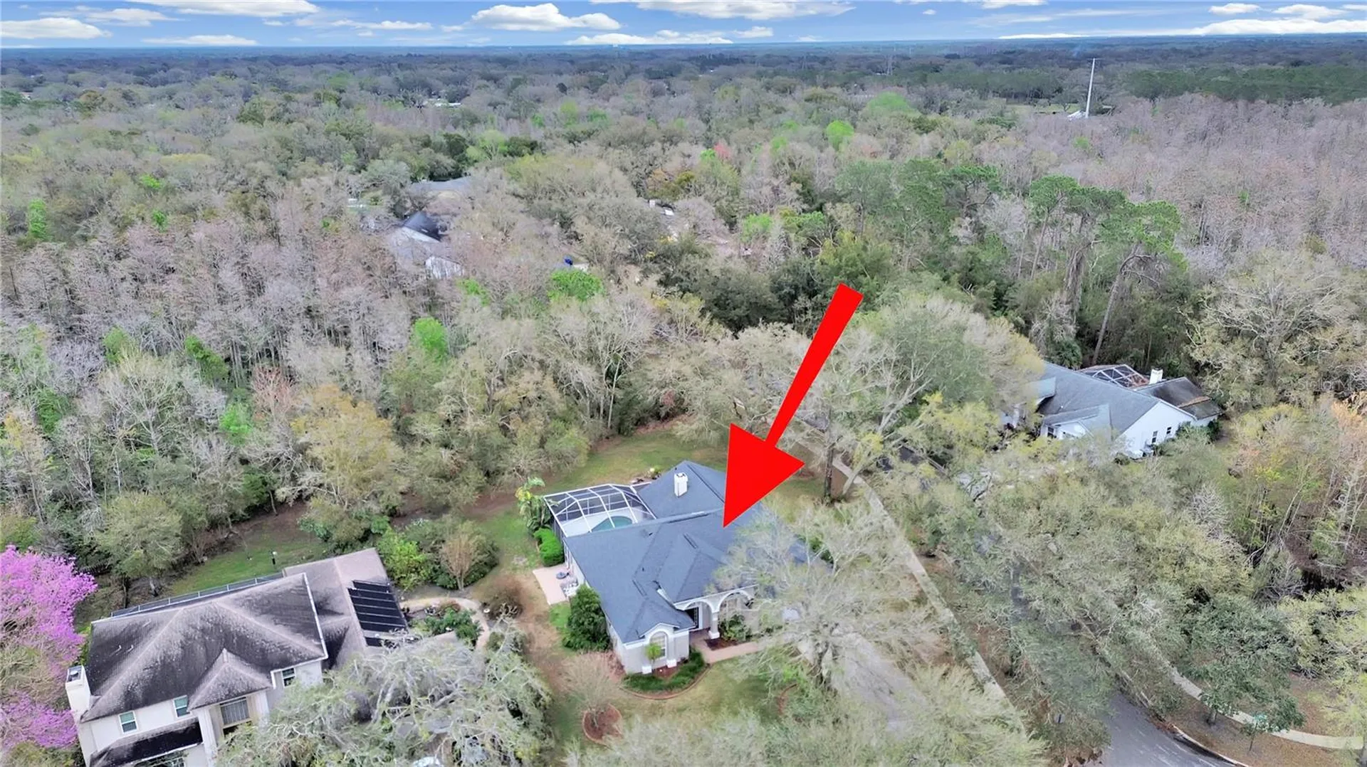 17307 Oak Ledge Drive Lutz FL 33549