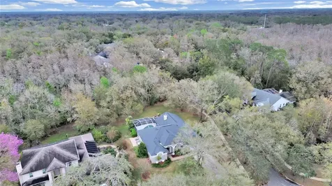 17307 Oak Ledge Drive Lutz FL 33549