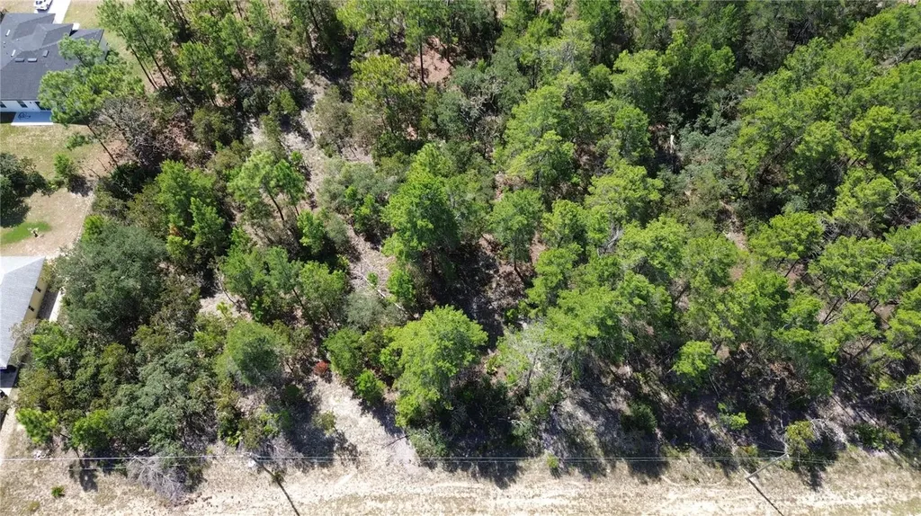 3848 W Keene Lane Citrus Springs FL 34433