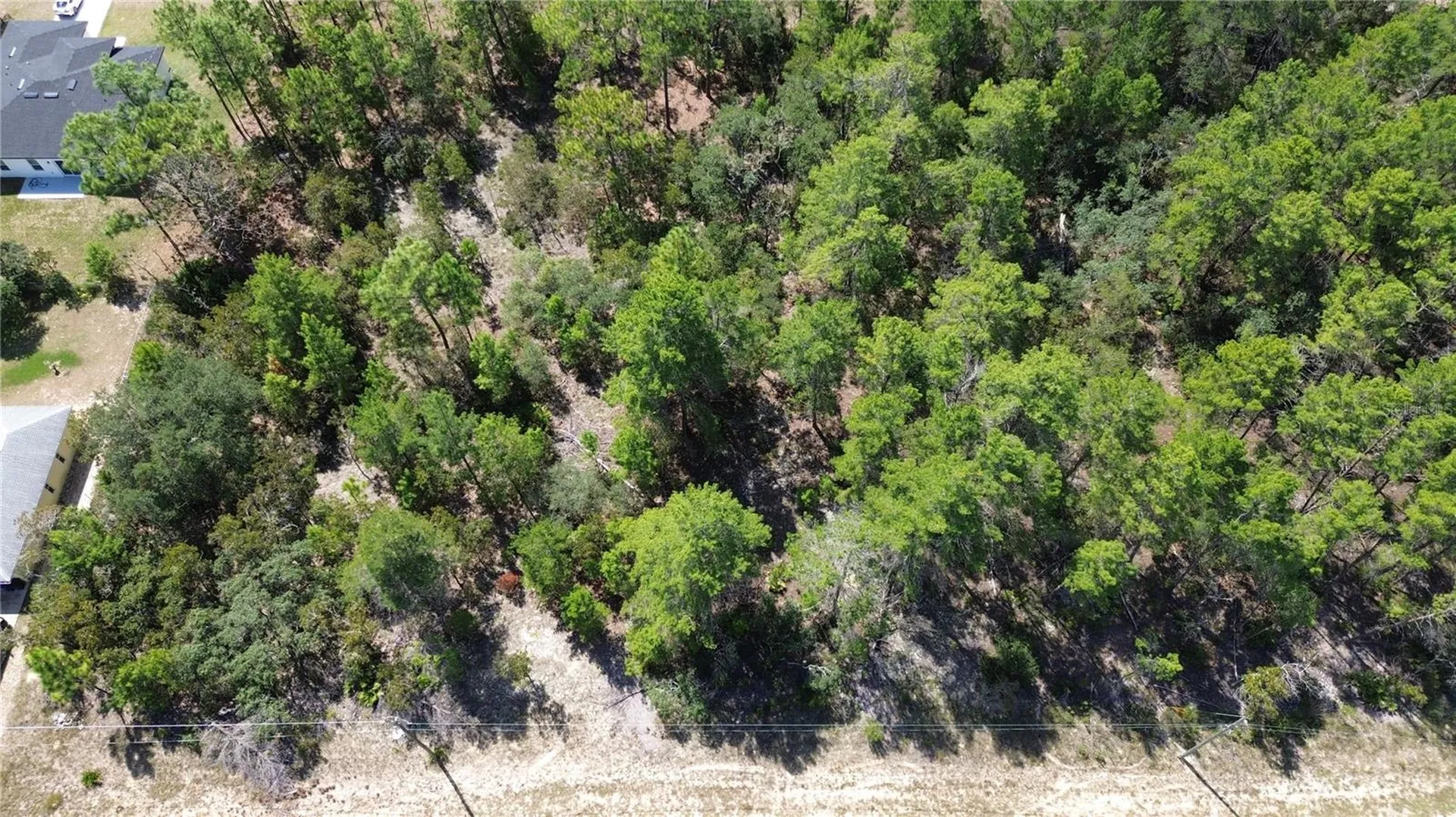 3848 W Keene Lane Citrus Springs FL 34433