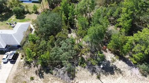 3848 W Keene Lane Citrus Springs FL 34433
