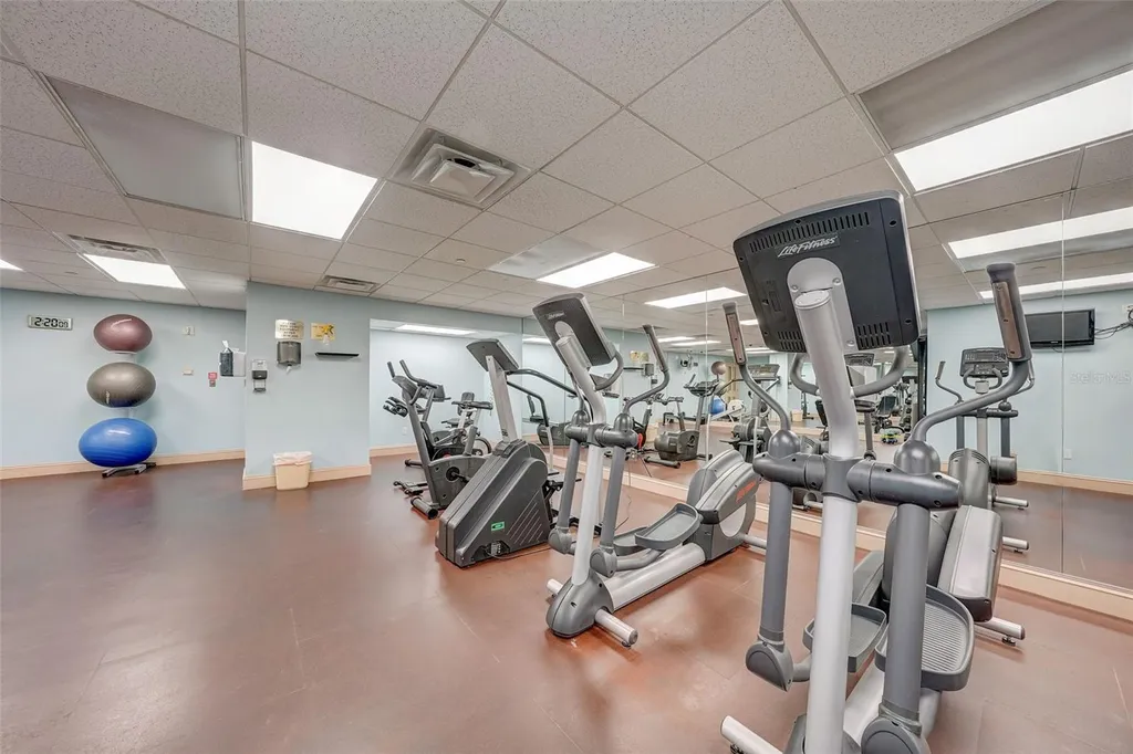 345 Bayshore Boulevard Tampa FL 33606