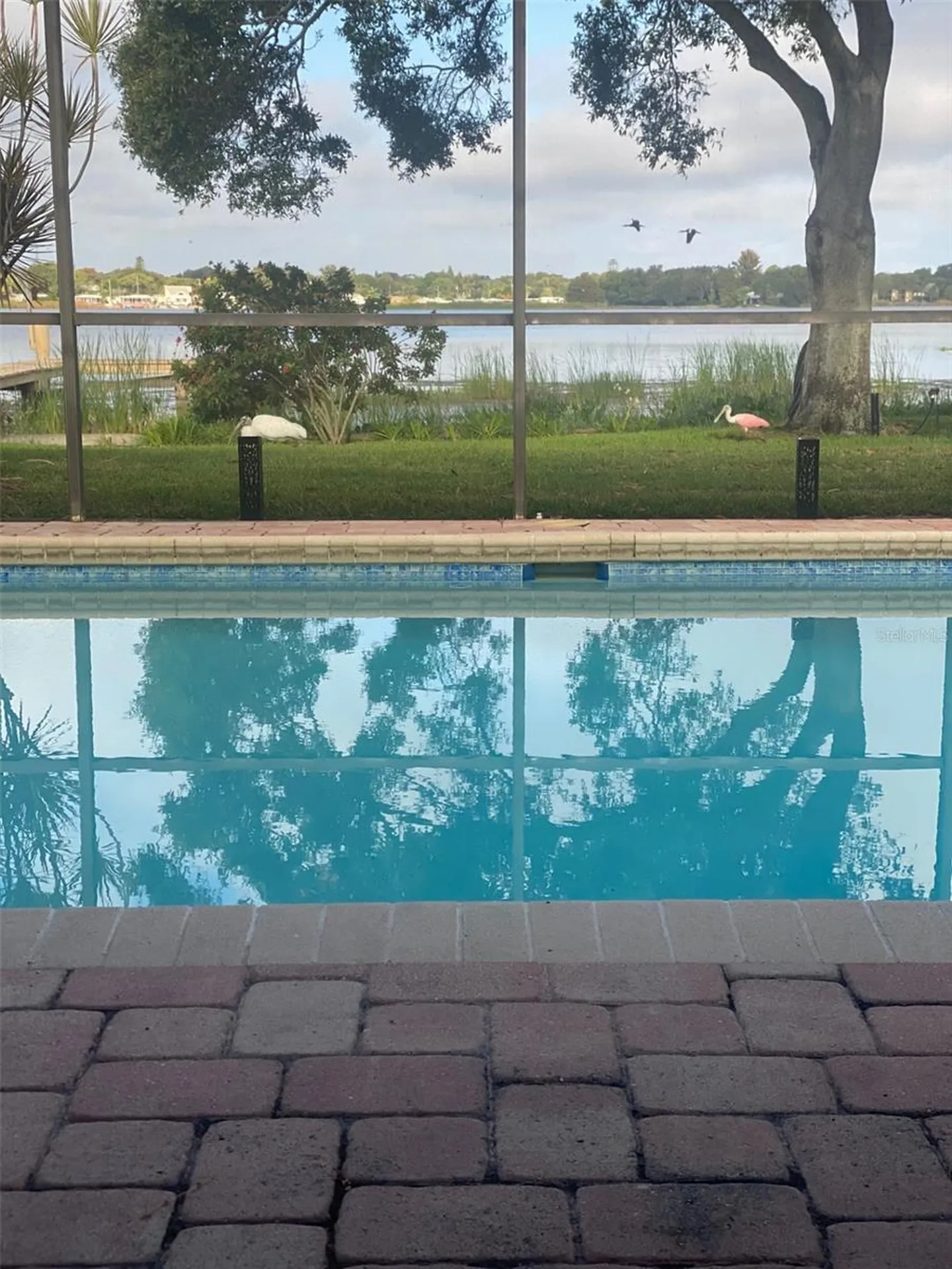 11314 Harborside Drive Largo FL 33773