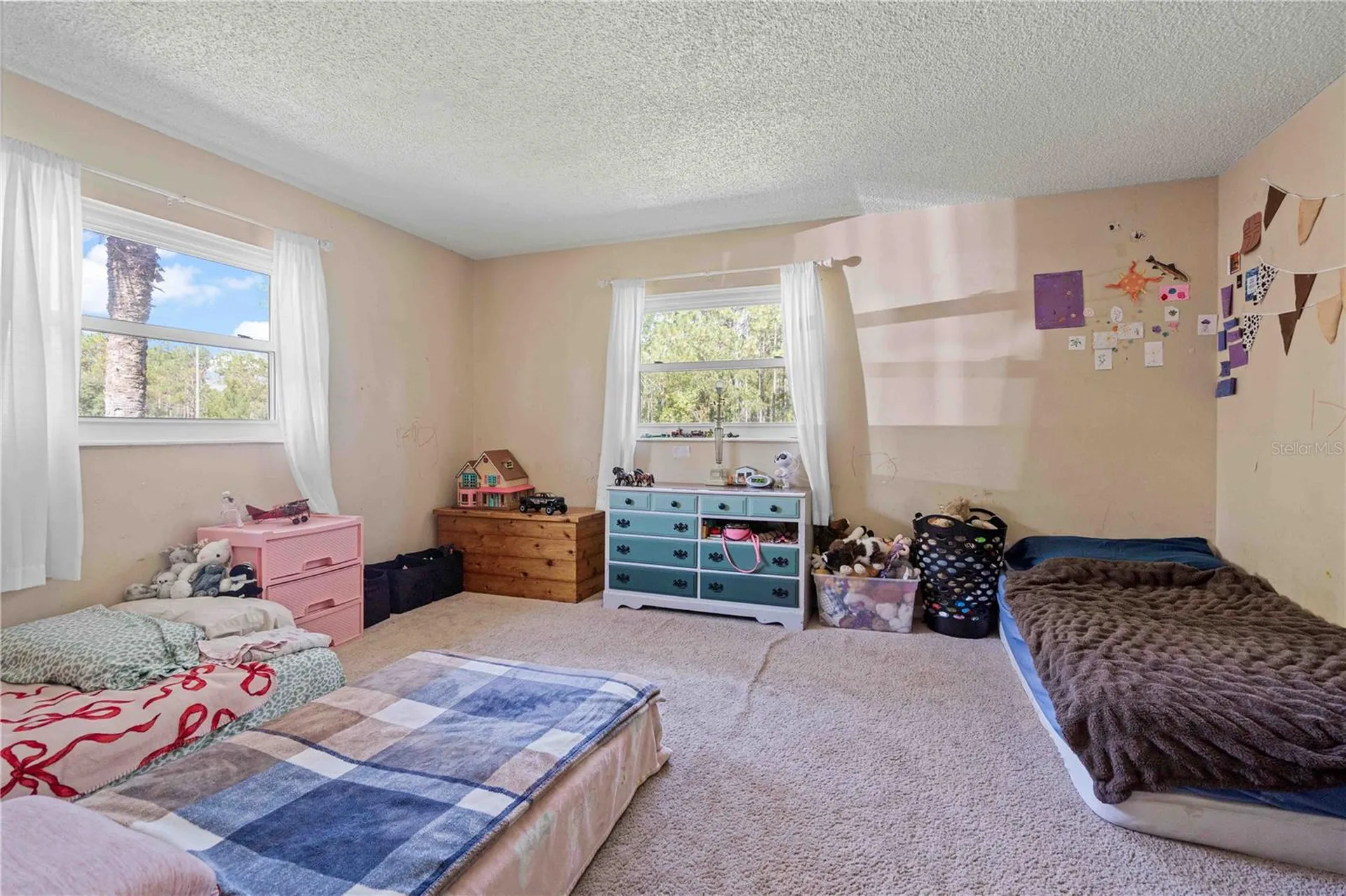 11350 SE 35th Street Morriston FL 32668