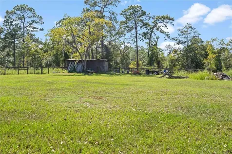 11350 SE 35th Street Morriston FL 32668