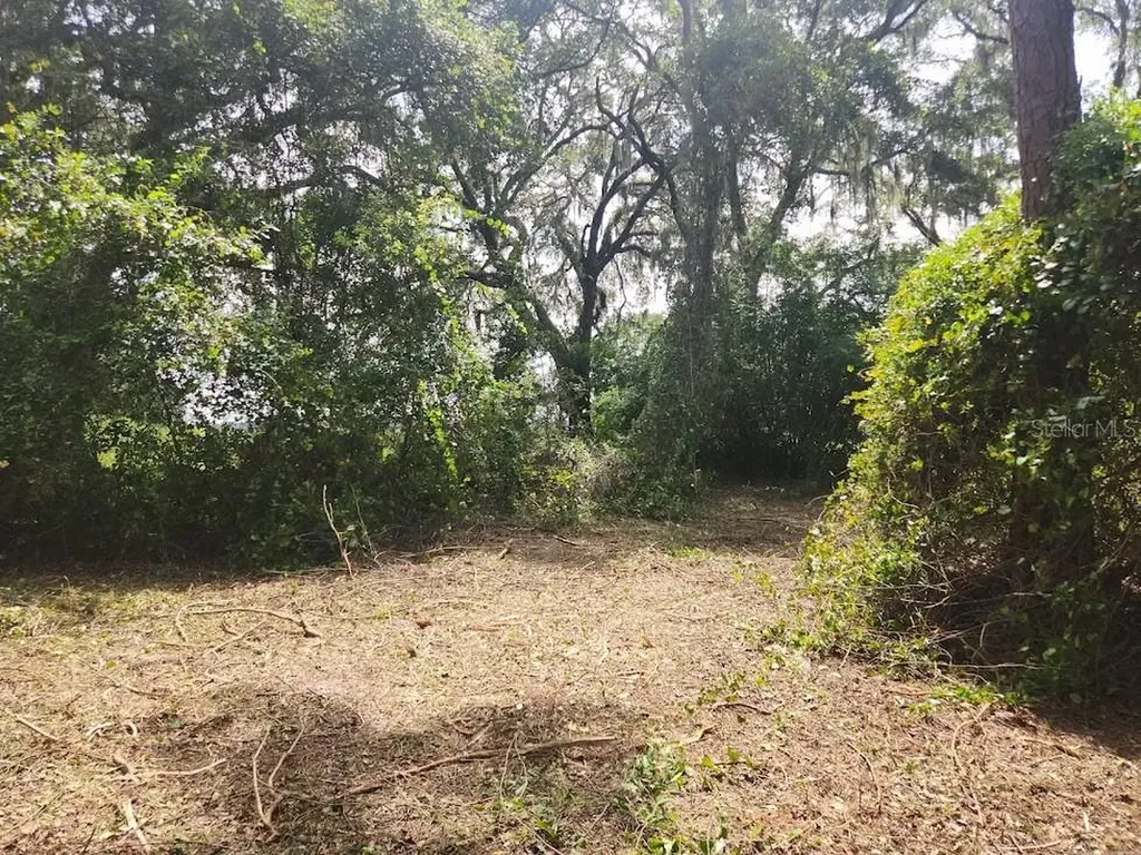 Lot 53 SW Shorewood Drive Dunnellon FL 34431