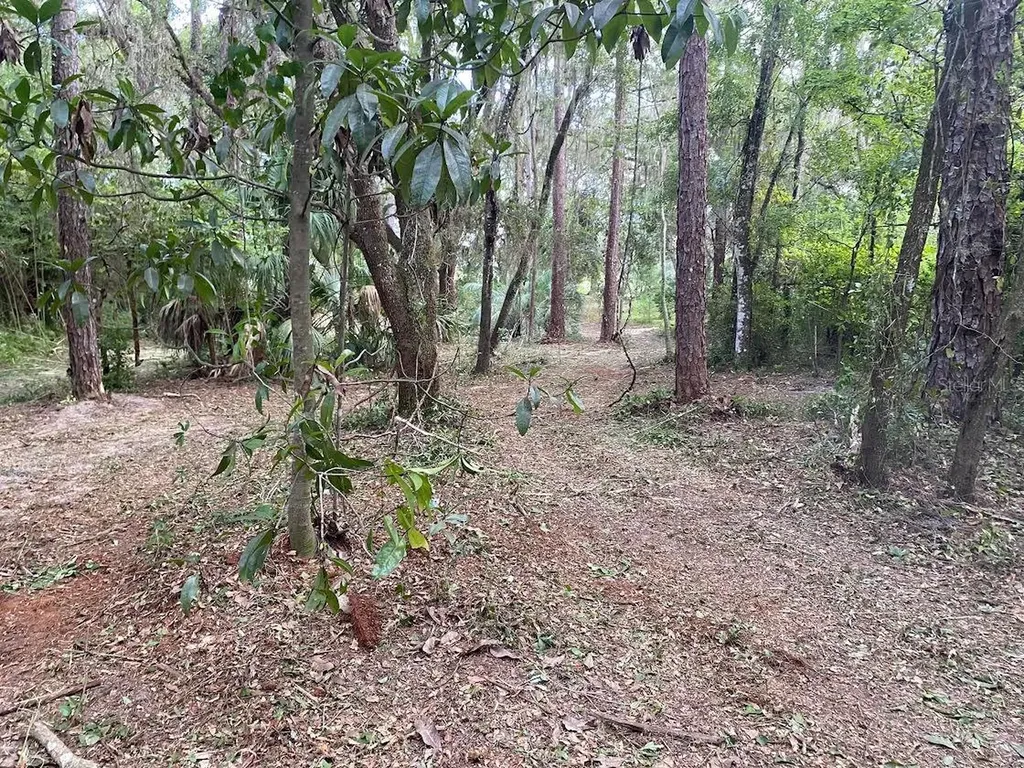 Lot 53 SW Shorewood Drive Dunnellon FL 34431