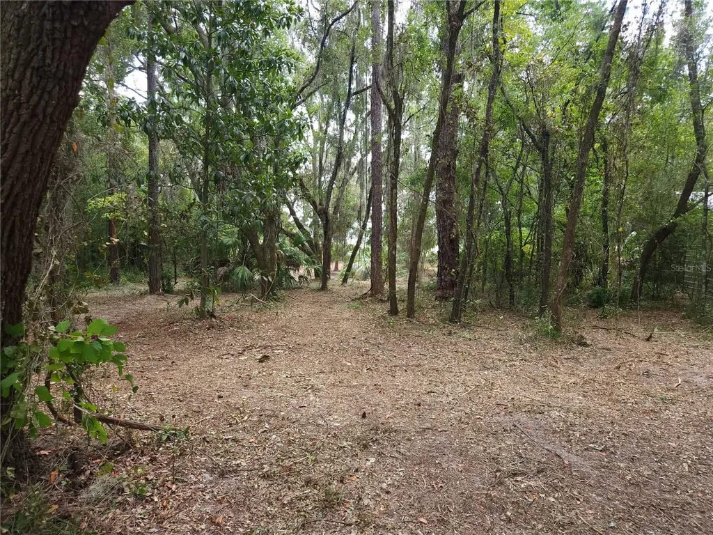 Lot 53 SW Shorewood Drive Dunnellon FL 34431