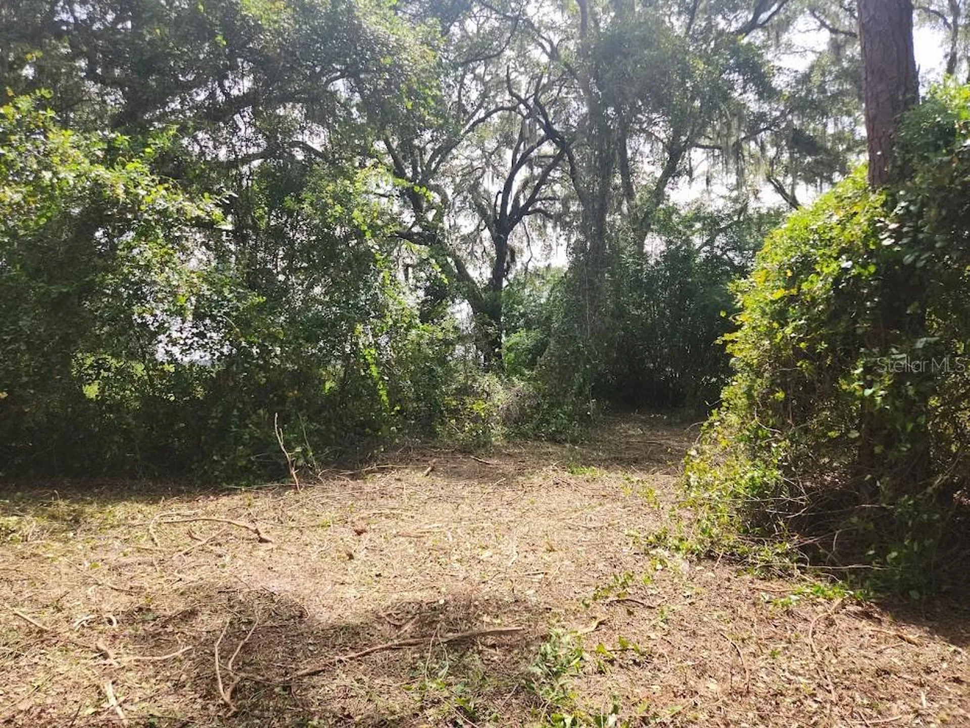 Lot 53 SW Shorewood Drive Dunnellon FL 34431