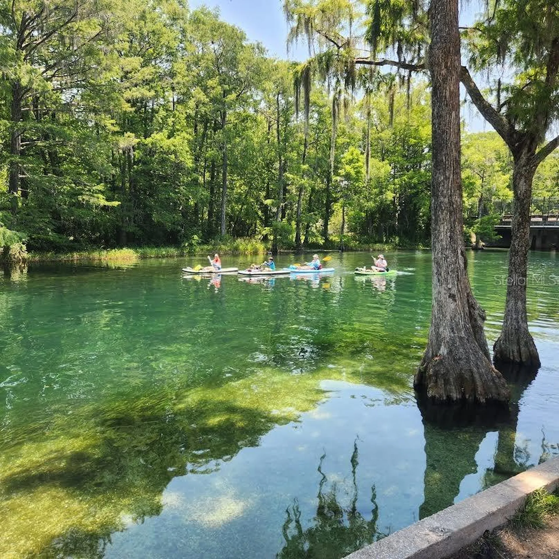 Lot 53 SW Shorewood Drive Dunnellon FL 34431