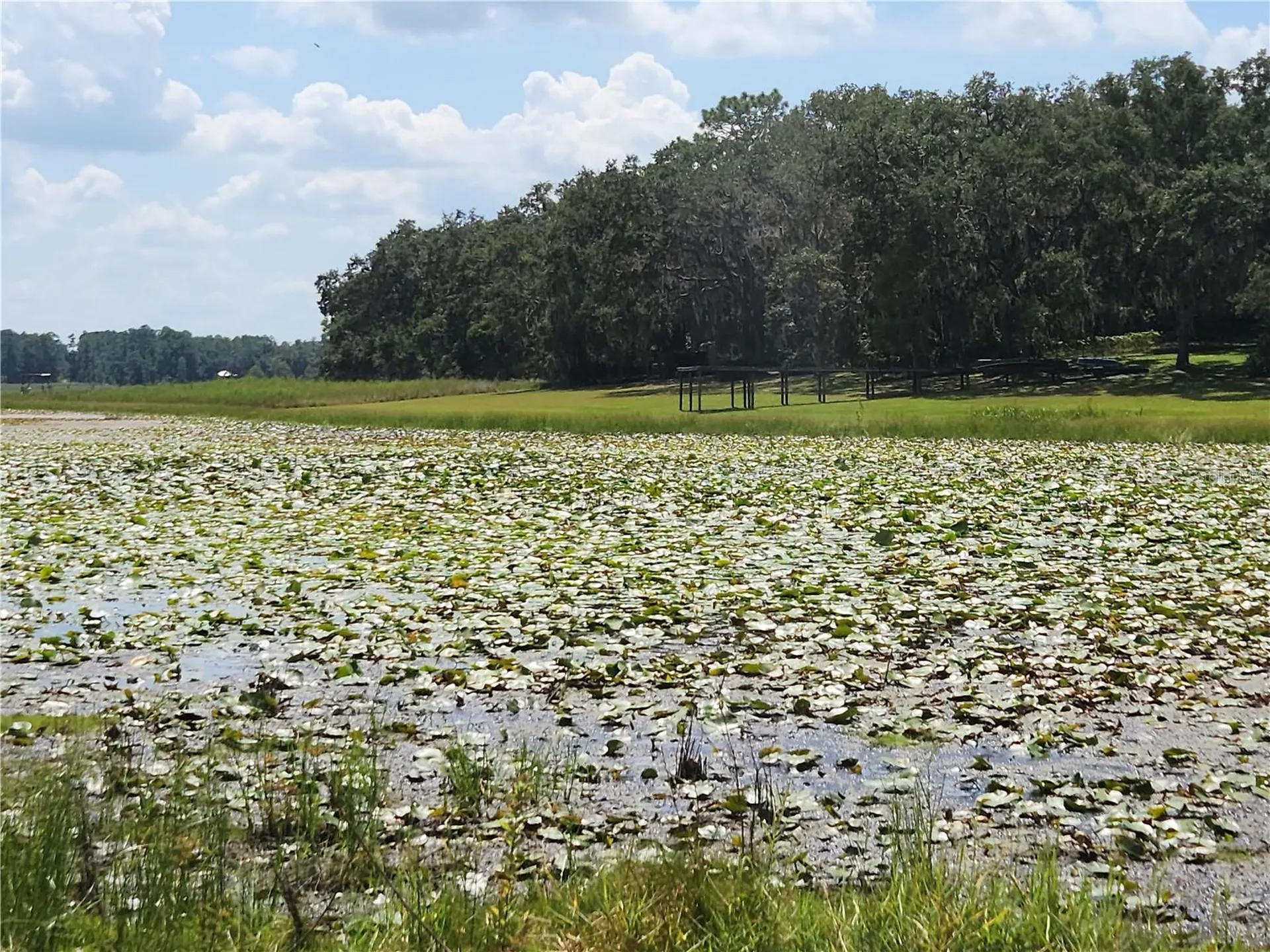 Lot 53 SW Shorewood Drive Dunnellon FL 34431