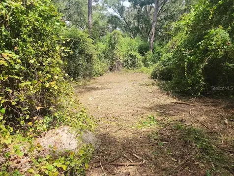 Lot 53 SW Shorewood Drive Dunnellon FL 34431