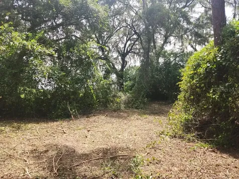 Lot 53 SW Shorewood Drive Dunnellon FL 34431