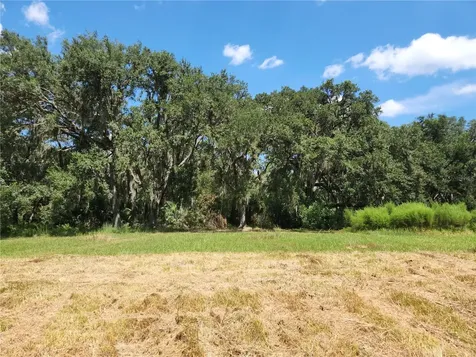 Lot 53 SW Shorewood Drive Dunnellon FL 34431