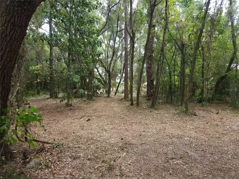 Lot 53 SW Shorewood Drive Dunnellon FL 34431