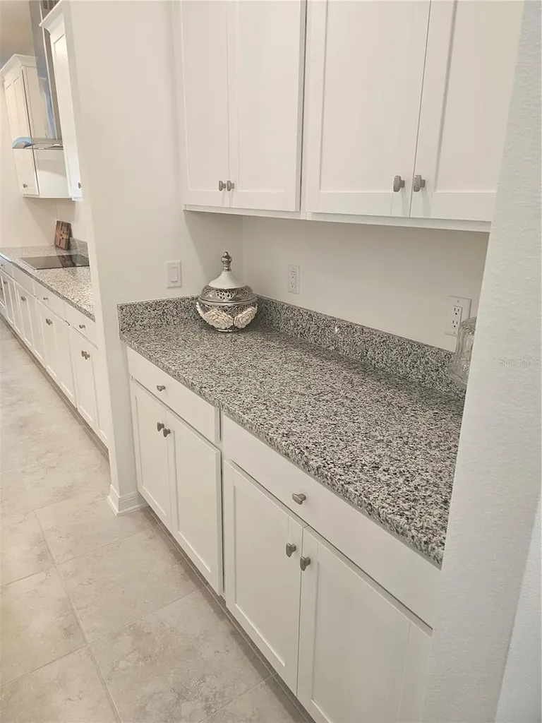 2450 Sunny Pebble Loop Zephyrhills FL 33540