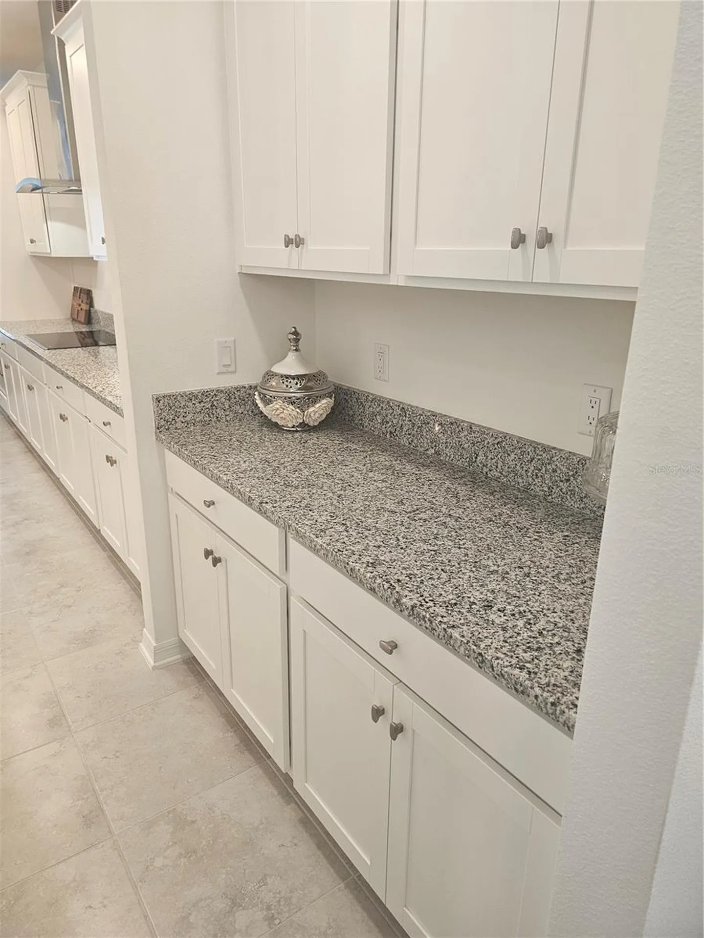 2450 Sunny Pebble Loop Zephyrhills FL 33540