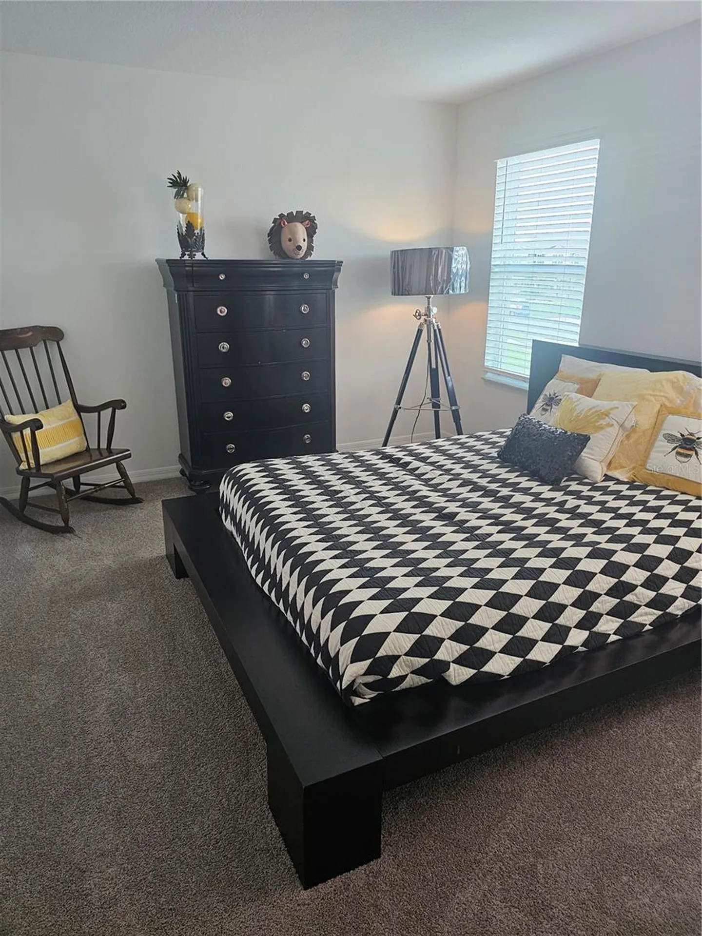 2450 Sunny Pebble Loop Zephyrhills FL 33540