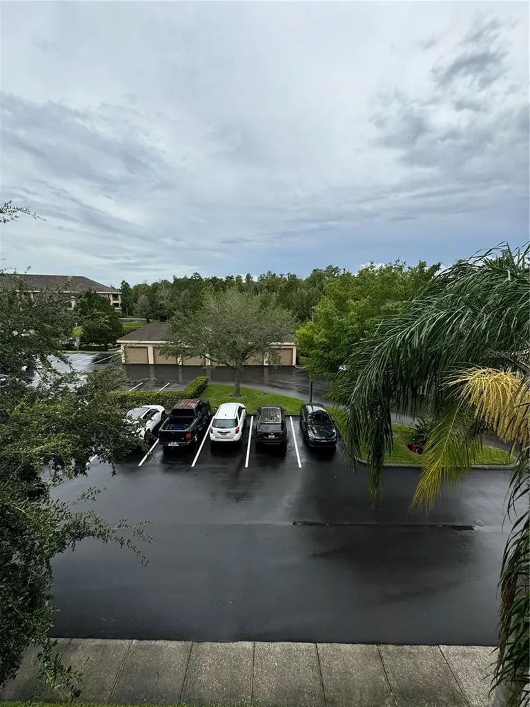 1600 Villa Capri Circle Odessa FL 33556