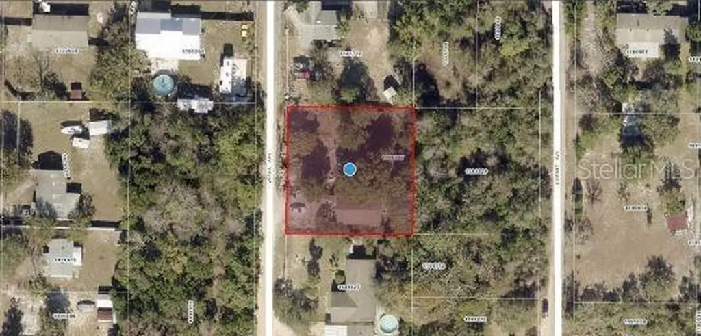 33702 Verda Avenue Leesburg FL 34788