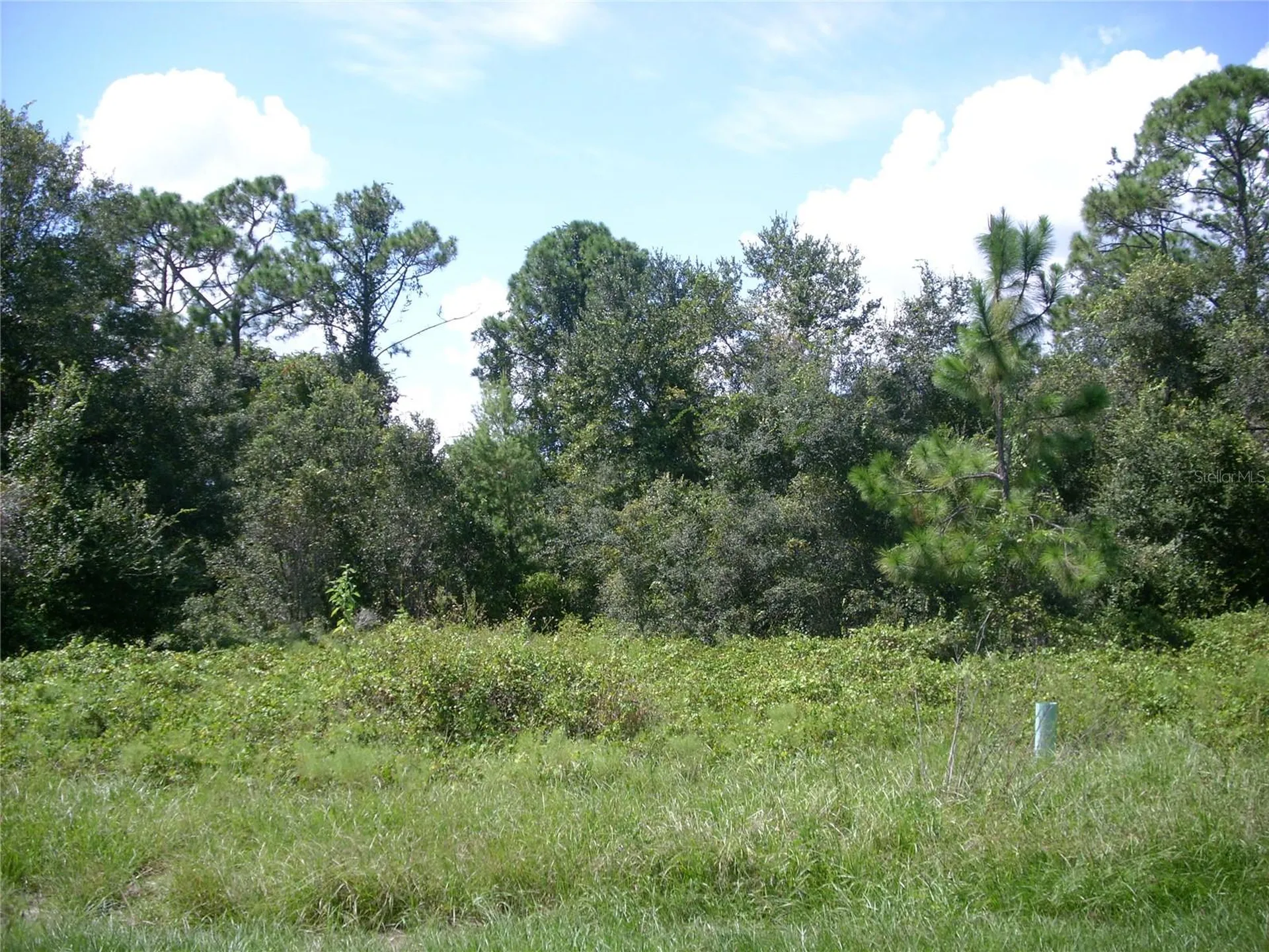 1343 Congo Court Kissimmee FL 34759