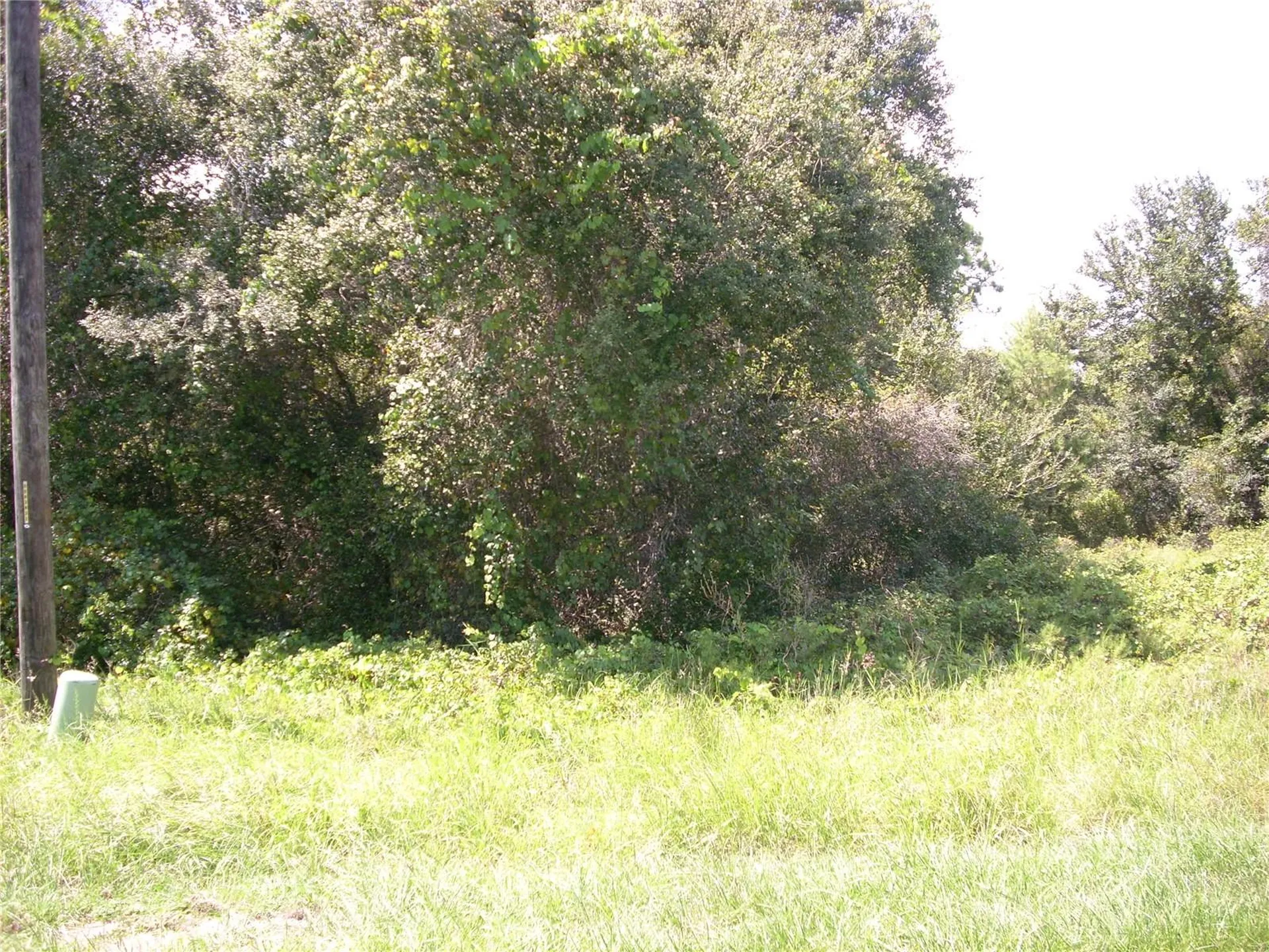 1343 Congo Court Kissimmee FL 34759