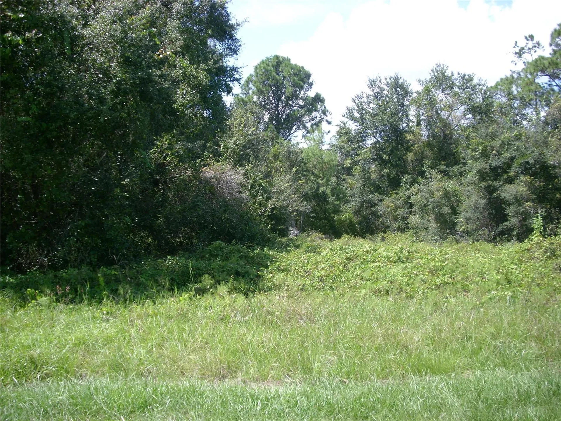 1343 Congo Court Kissimmee FL 34759