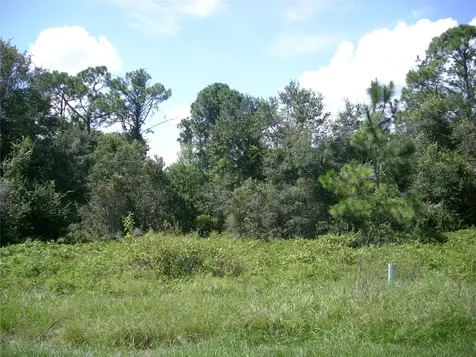1343 Congo Court Kissimmee FL 34759