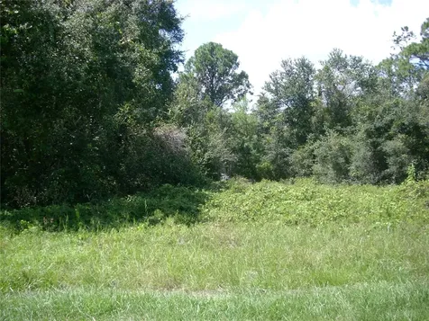 1343 Congo Court Kissimmee FL 34759