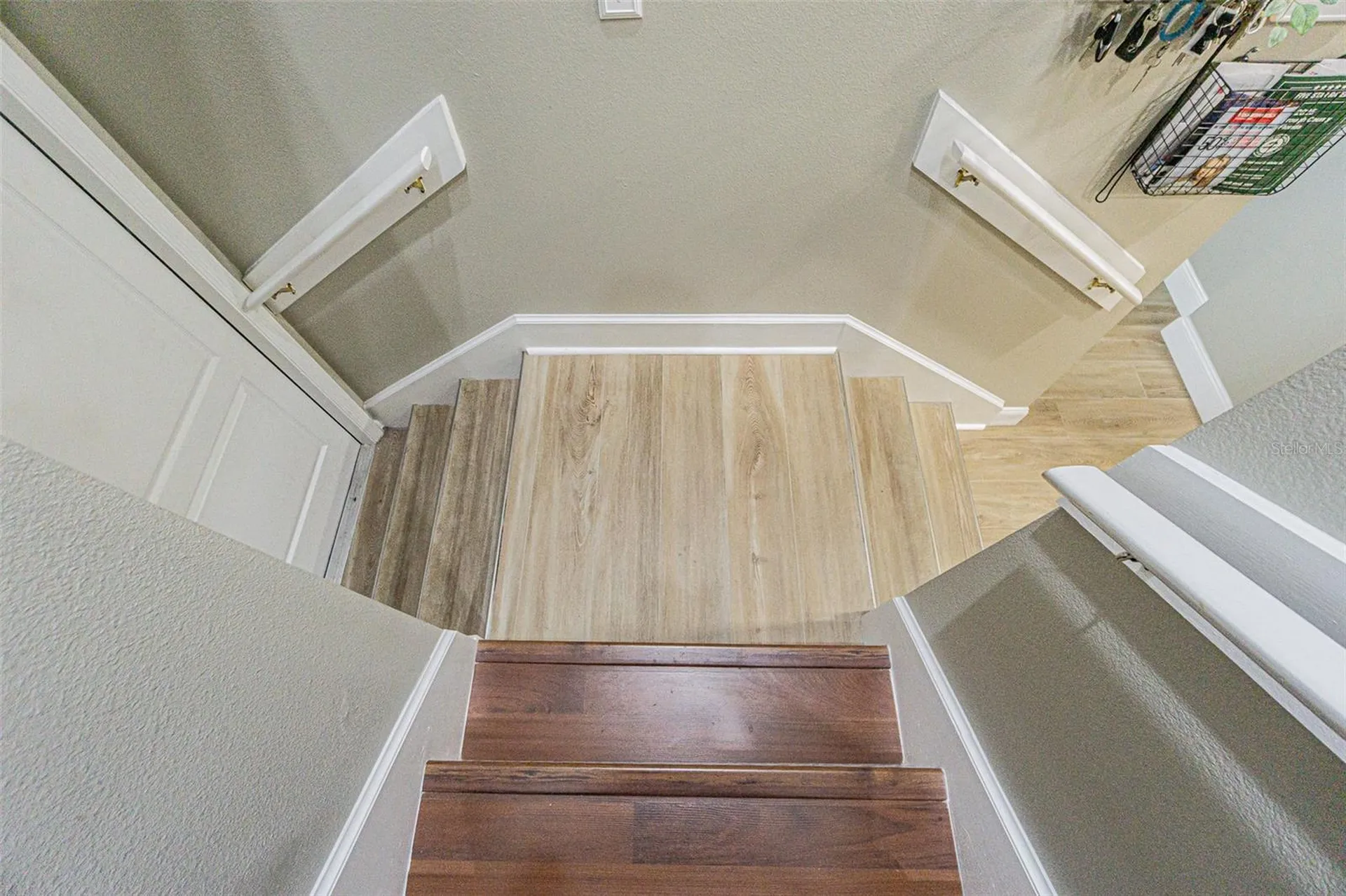 9809 La Rita Place Riverview FL 33569