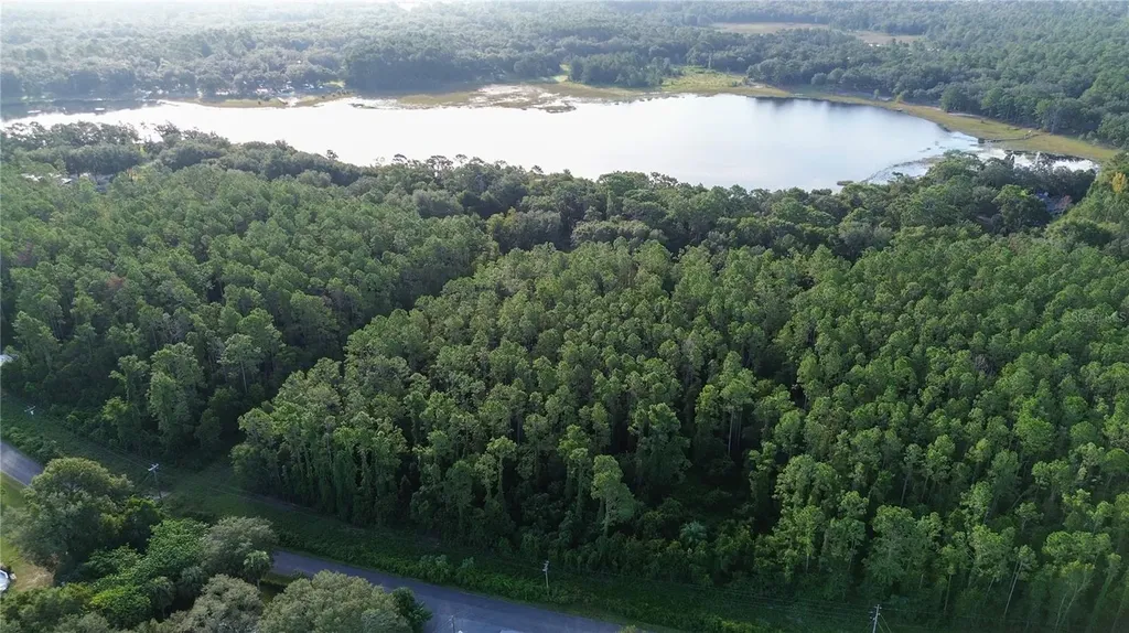 Tbd SE 170th Avenue Ocklawaha FL 32179