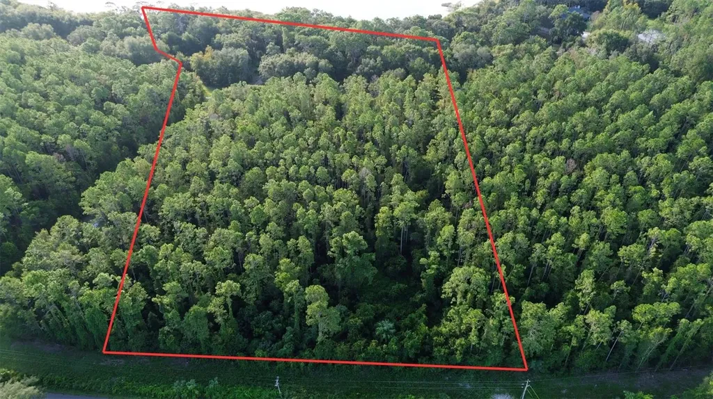 Tbd SE 170th Avenue Ocklawaha FL 32179
