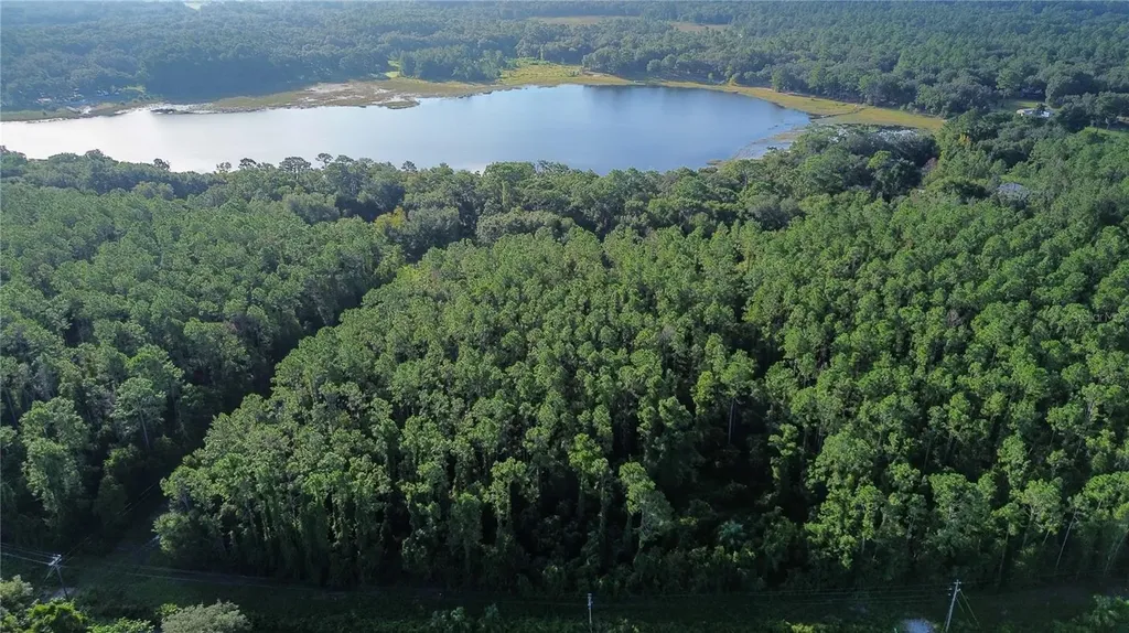 Tbd SE 170th Avenue Ocklawaha FL 32179