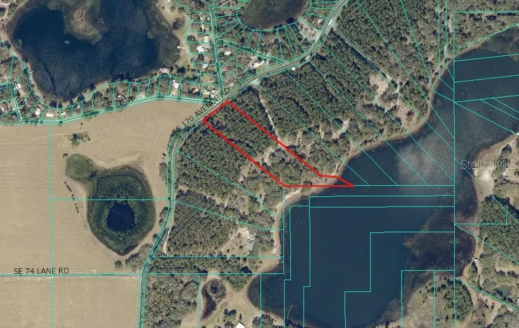 Tbd SE 170th Avenue Ocklawaha FL 32179