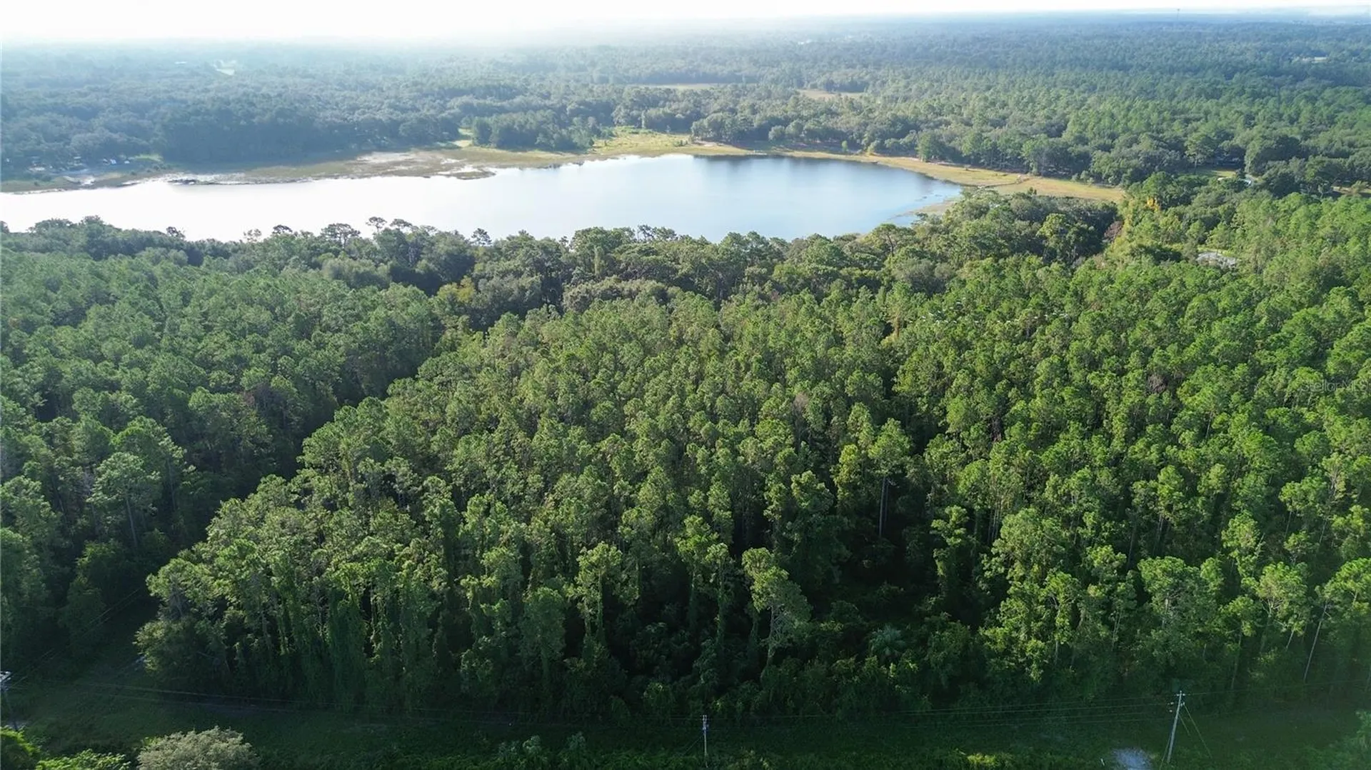 Tbd SE 170th Avenue Ocklawaha FL 32179
