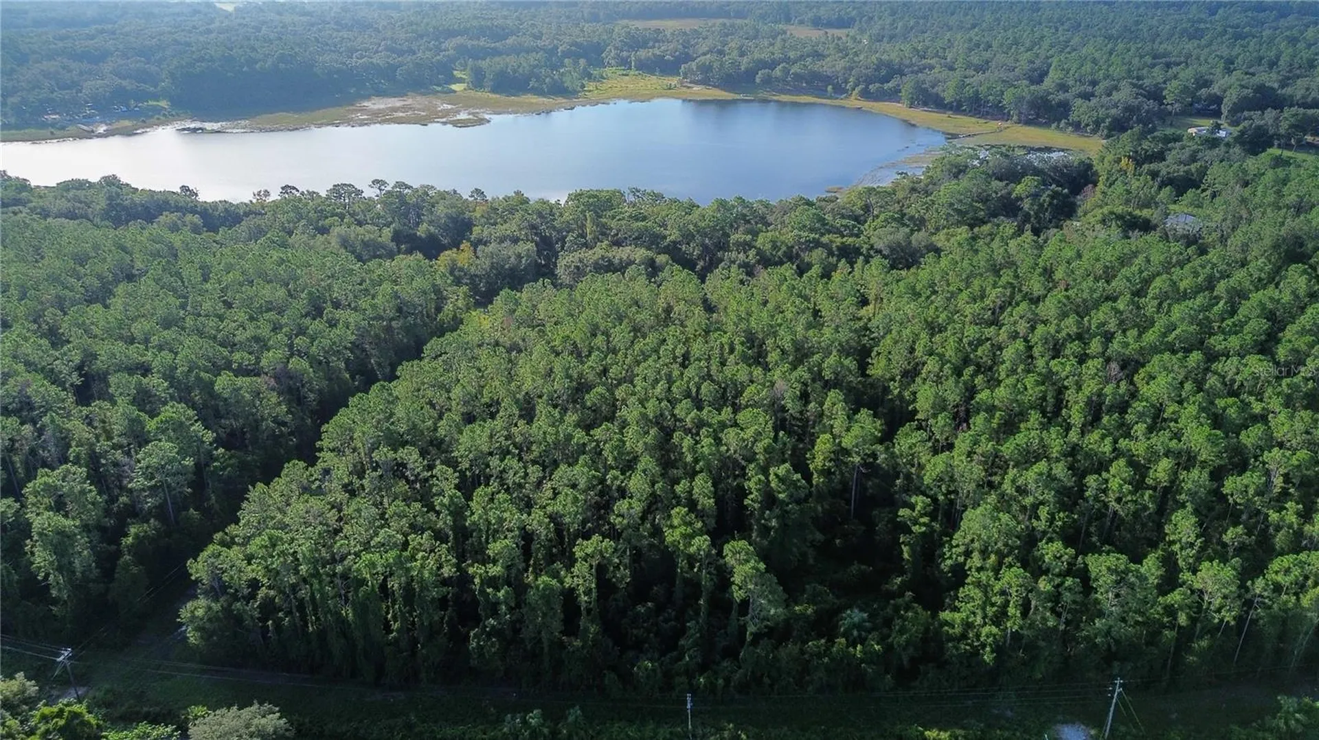 Tbd SE 170th Avenue Ocklawaha FL 32179